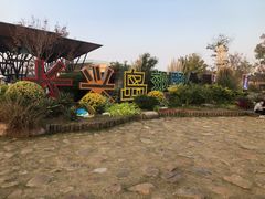 -上海长兴岛郊野公园