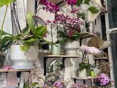 -FEI FEI FLOWER鲜花店·气球派对·宝宝宴布置(虹口德必运动Loft店)