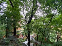 -宝通禅寺