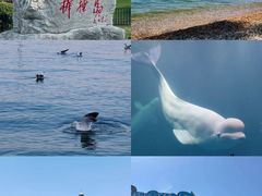 -星海广场