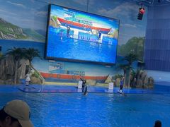 -临沂极地海洋王国