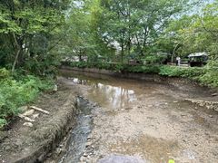 -黄牛肉馆·皖南土菜