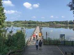 -溱湖国家湿地公园