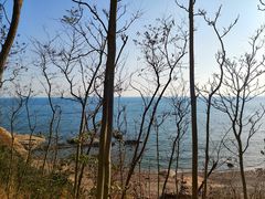 -燕儿岛山公园