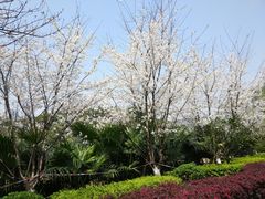 -百林公园-两江幸福广场