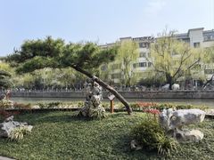 -月栖华明-云间草堂清茶馆(泗泾古镇店)