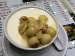 莲子双皮奶-义顺牛奶公司(新马路老店)