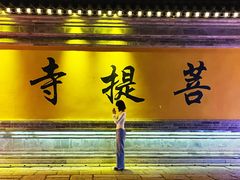 -台儿庄古城
