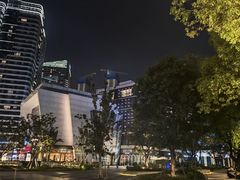 -金鸡湖景区