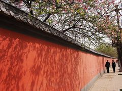 景点-大唐不夜城-开元广场
