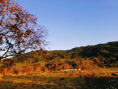 -塔川景区