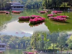 -广州市白云山风景名胜区