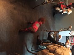 iphone_upload_pic-百好乐宠物友好餐厅(朝外大街店)