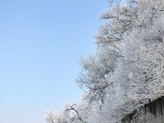 -雾凇岛