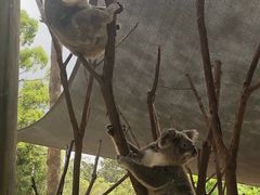 -可伦宾野生动物保护区
