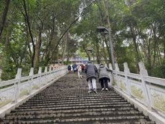 -老君山