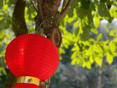 -刘伯温故里景区百丈漈