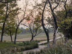 -汉长安城未央宫国家考古遗址公园