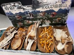 -芸山季·云南山珍菌火锅(南翔印象城MEGA店)