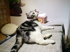 -小时光咖啡馆(开森度假森林店)