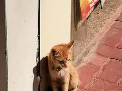 -跃进雪糕(跃进路店)