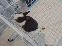 -怪兽屋·羊驼·猫咖·狗咖(俊华广场店)