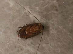 -成都宽窄巷子漫心酒店