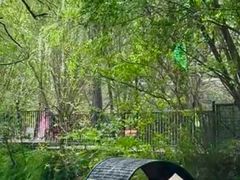 -洛阳市隋唐城遗址植物园