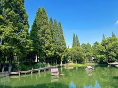 -乌村