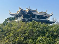 -江心屿景区