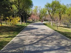 -北坞公园