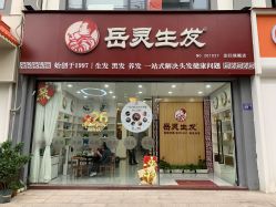-岳灵生发养发馆