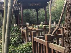 -上海佘山国家森林公园天马山园