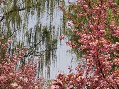 -莲花池公园
