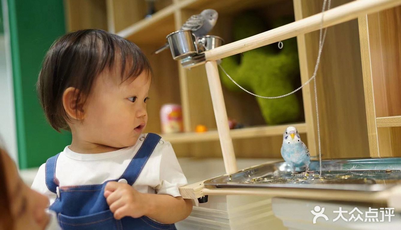 毛孩子控的福音来了