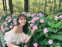 -合肥滨湖国家森林公园