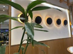 -饺子季水饺餐厅(新市街店)