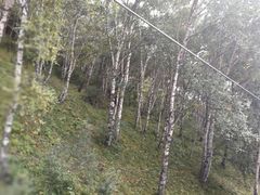 -驼梁风景区