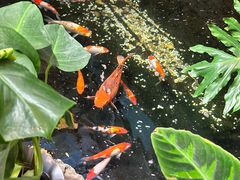 -聚缘堂·海鲜私房菜(松岭路店)
