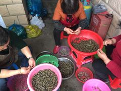 挑螺肉-妈妈的小作坊(陈家镇店)