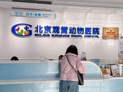 -北京观赏动物医院·24小时大型综合·猫专科·异宠专科