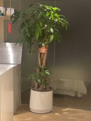 -柠檬一美·Ondapro·轻薄紧致抗衰中心