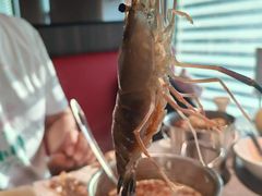 -领鲜活海鲜榴莲自助火锅(东门店)