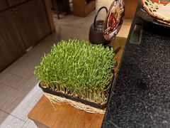 -湊湊火锅·茶憩(世博大道店)