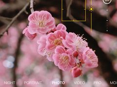 -杭州植物园
