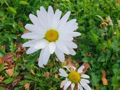 -北京国家会计学院