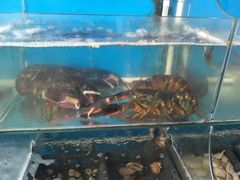 -渔码头食府·20年蓬莱老字号(登州路店)