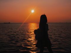 -宝安西湾红树林湿地公园