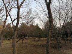 -森林公园(尖草坪区)