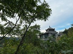 -老张烤羊(王哥庄店)